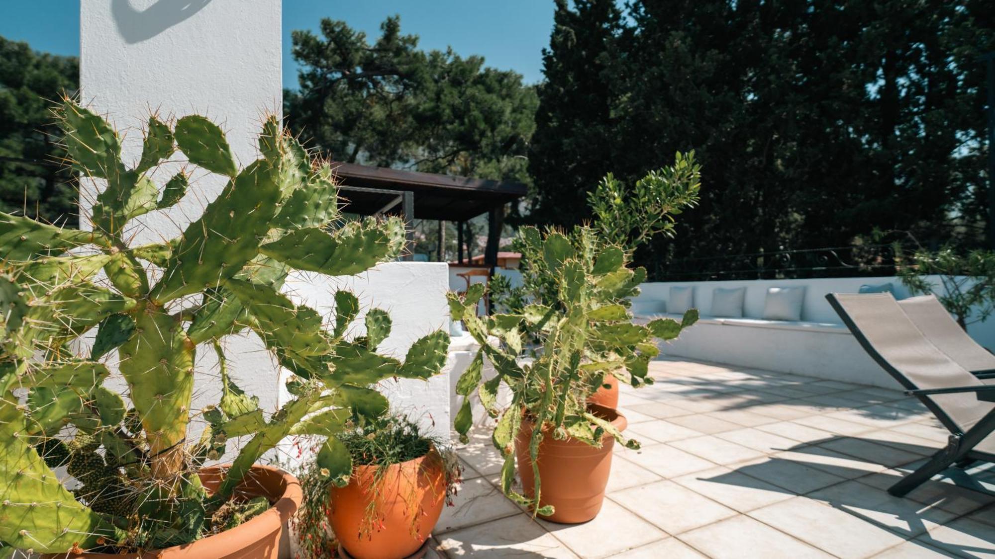 Totelya Hotel Akyaka  Bagian luar foto