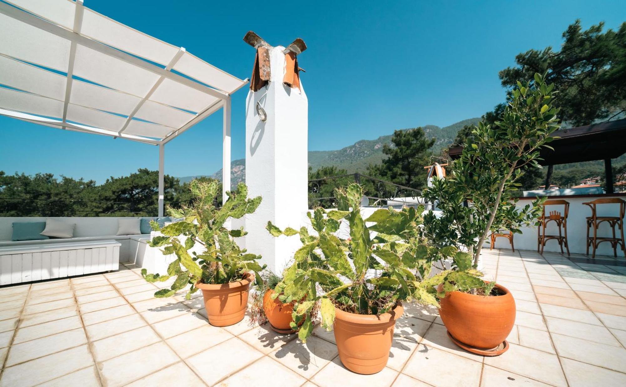 Totelya Hotel Akyaka  Bagian luar foto