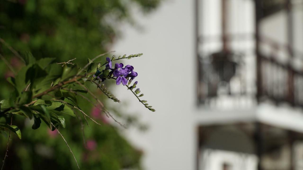 Totelya Hotel Akyaka  Bagian luar foto