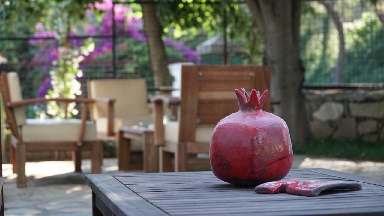 Totelya Hotel Akyaka  Bagian luar foto